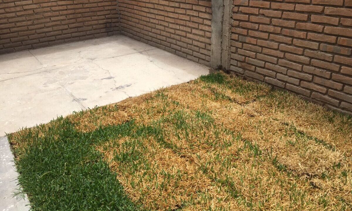 b5209e28-2204-40bf-b7fa-e5c1b0fee1e5