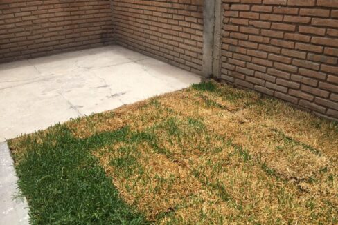 b5209e28-2204-40bf-b7fa-e5c1b0fee1e5