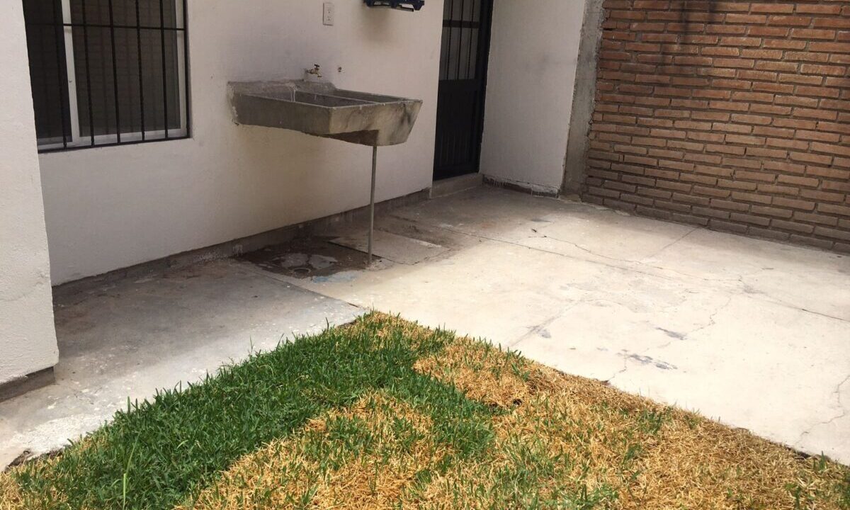 c78880d3-6ebb-498e-921a-89545cb3c231