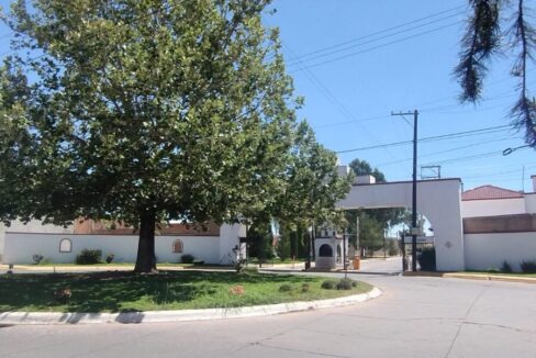 PHOTO-2023-06-08-16-21-43