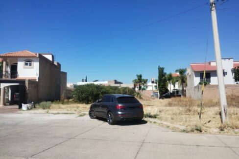 PHOTO-2023-06-08-16-21-45