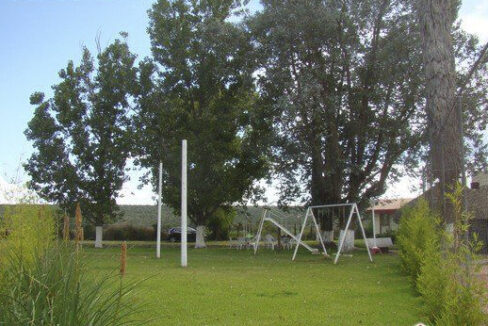 PHOTO-2023-06-14-16-53-36 2