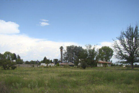 PHOTO-2023-06-14-16-53-36 3