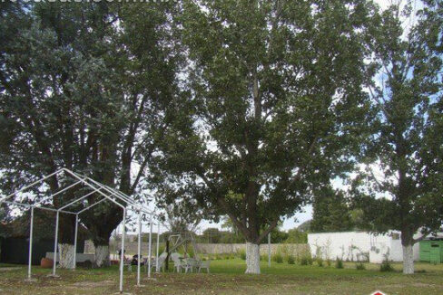 PHOTO-2023-06-14-16-53-36 4