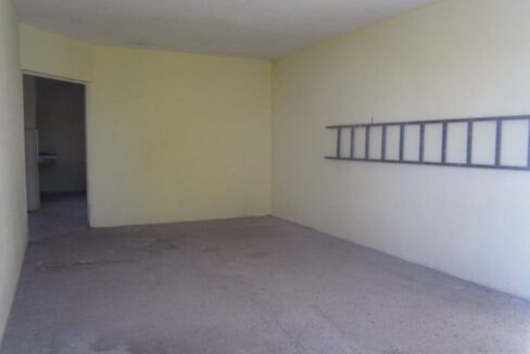 PHOTO-2023-11-29-17-29-49