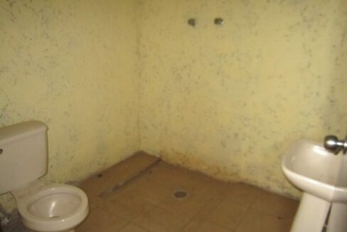 PHOTO-2023-11-29-17-29-49 8